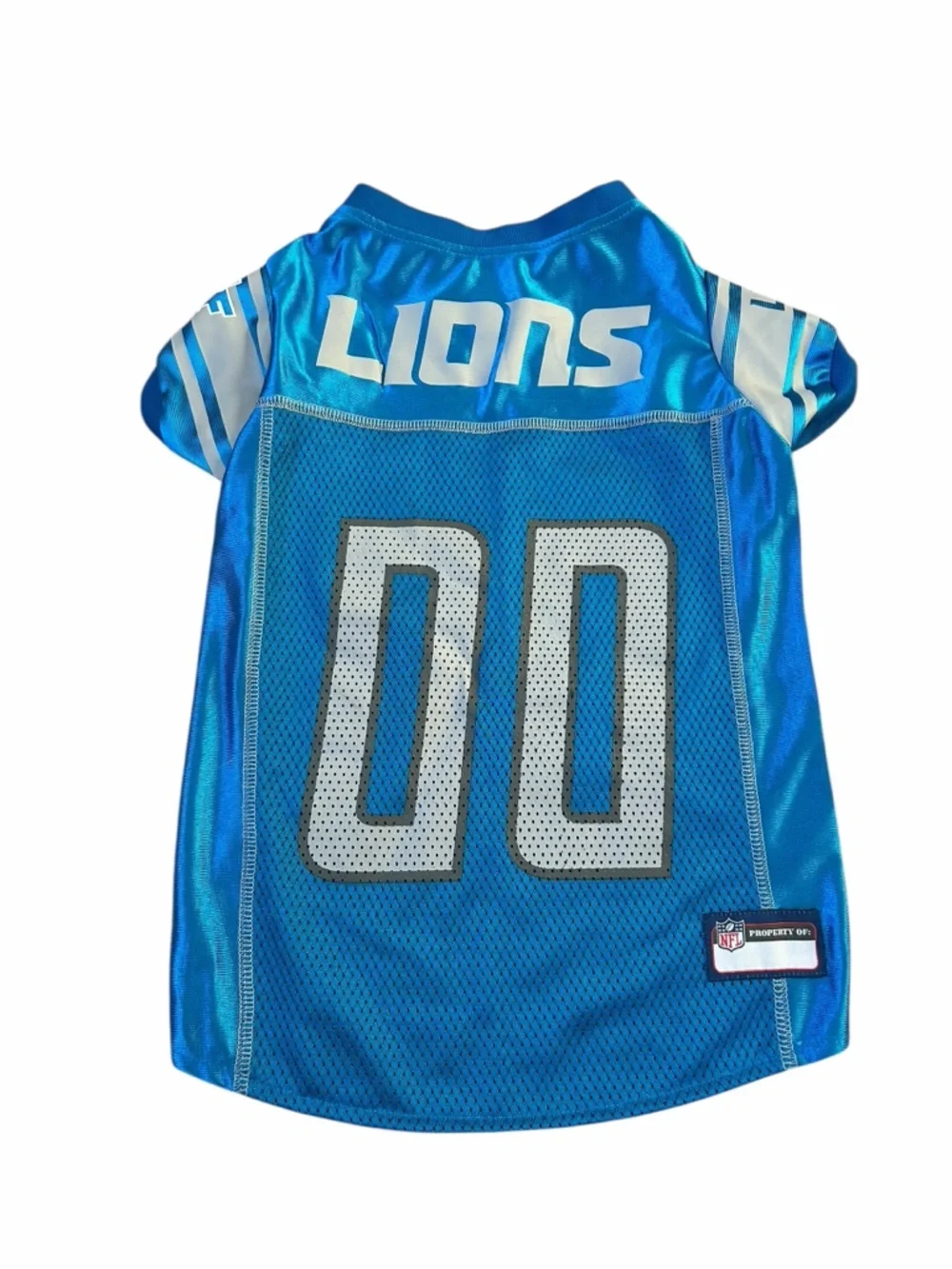 NFL detroit lions